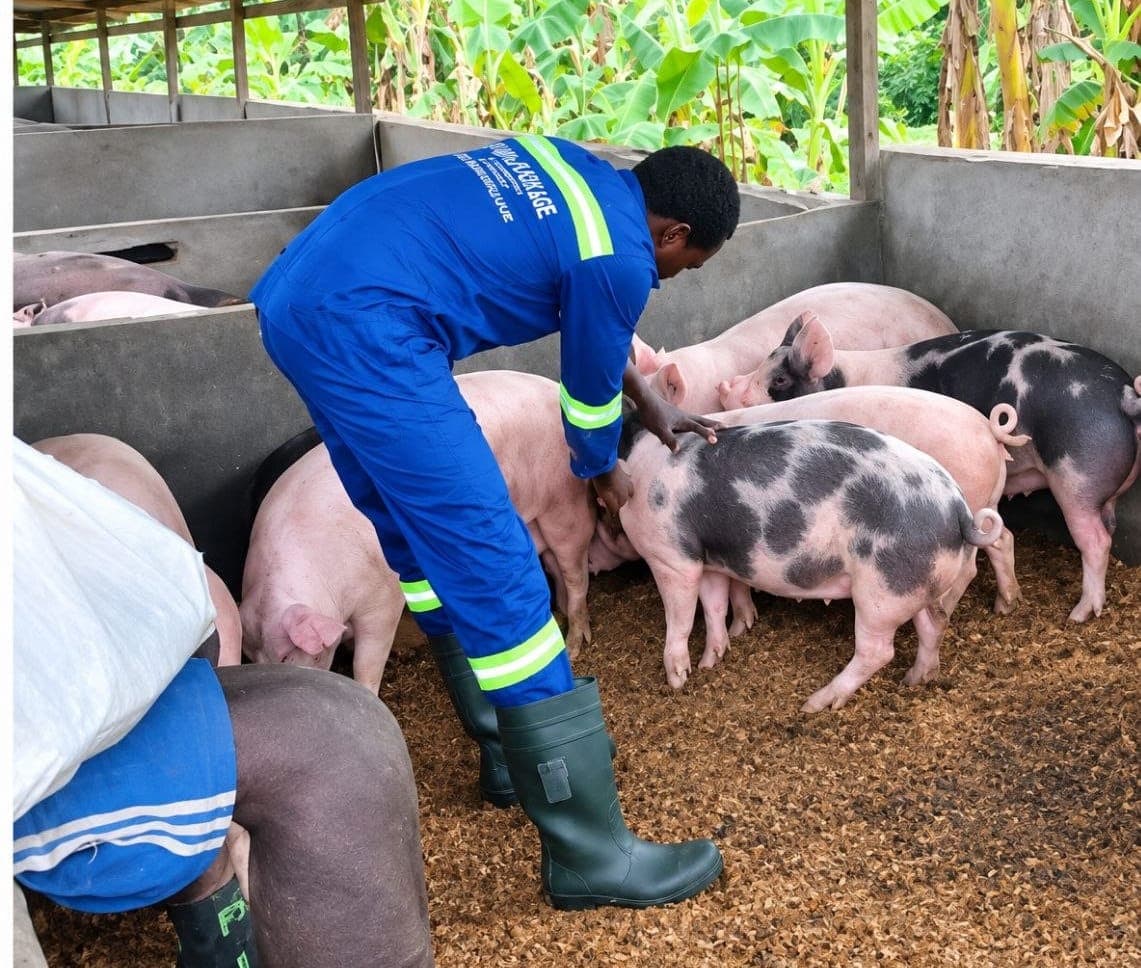 Bureau AGRO SERVICES SARL à Douala, Cameroun