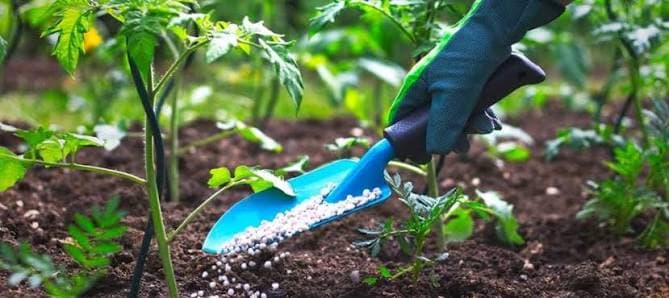 Engrais & fertilisants
