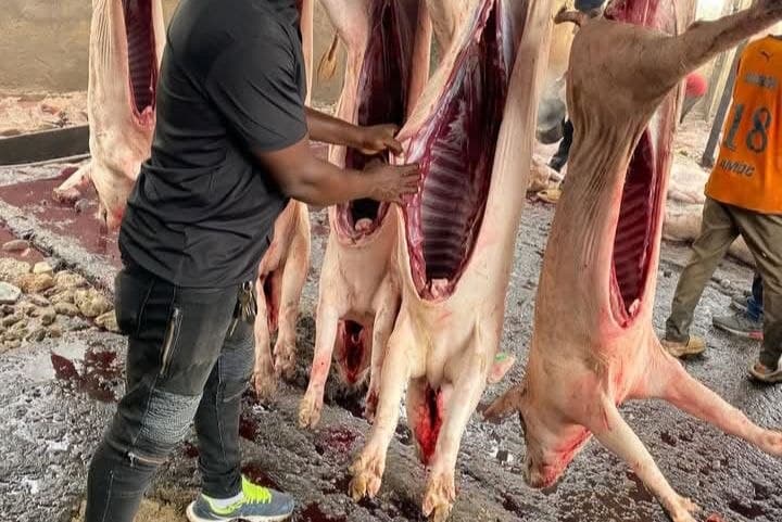 Carcasses et découpes de viande fraîche contrôlée